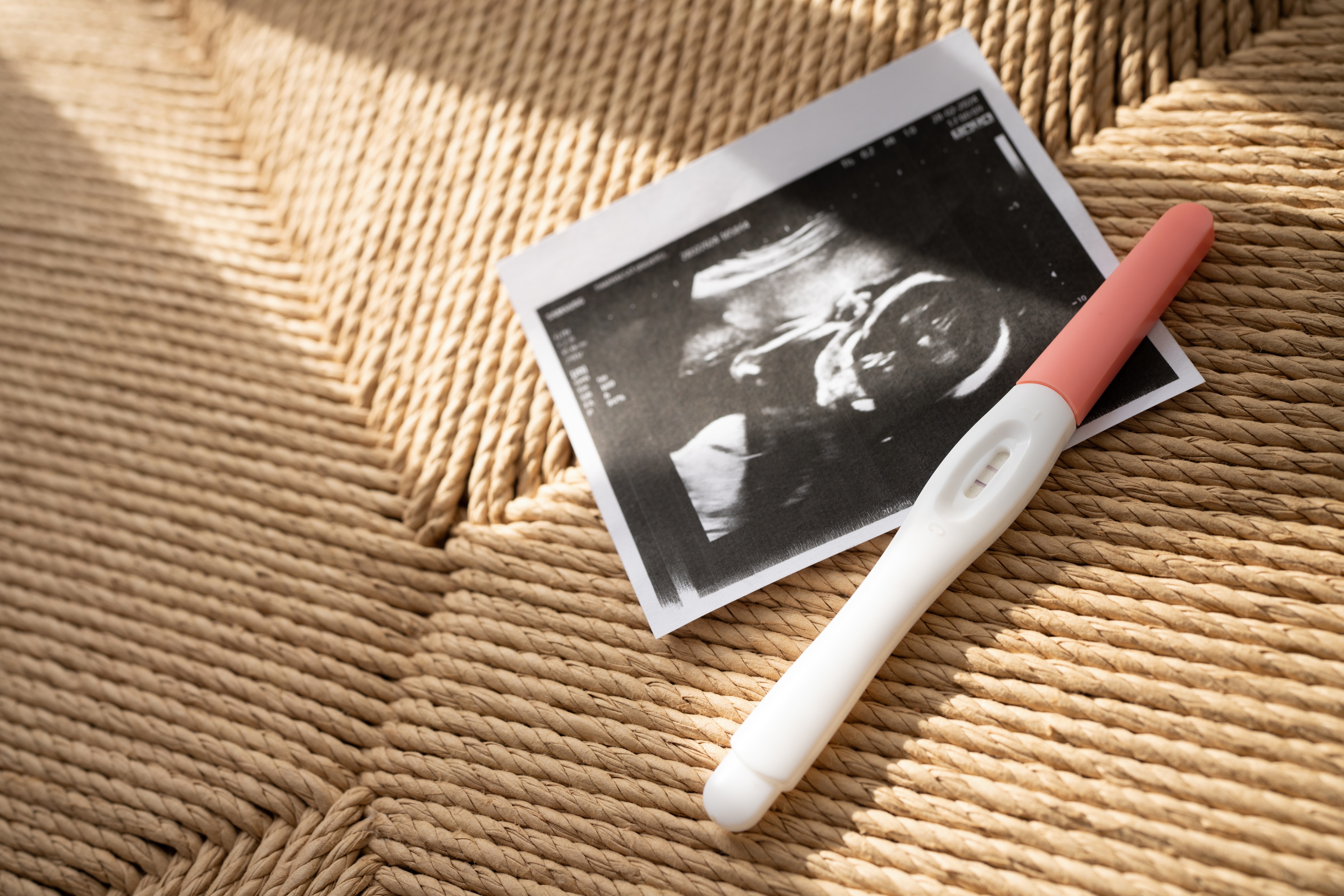 Bridging the  Gap In Prenatal Care Image